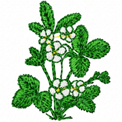 Flowers Embroidery Design 12